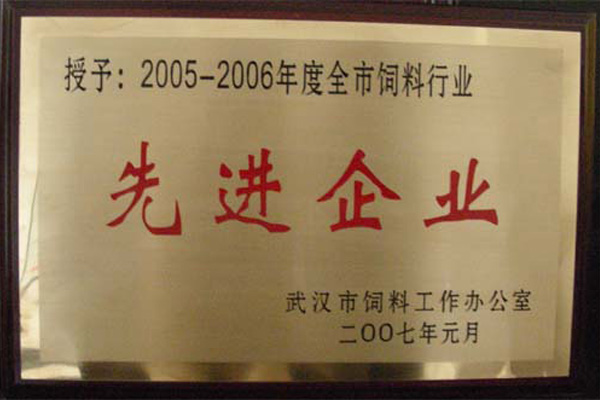 先进企业