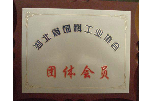 团体会员
