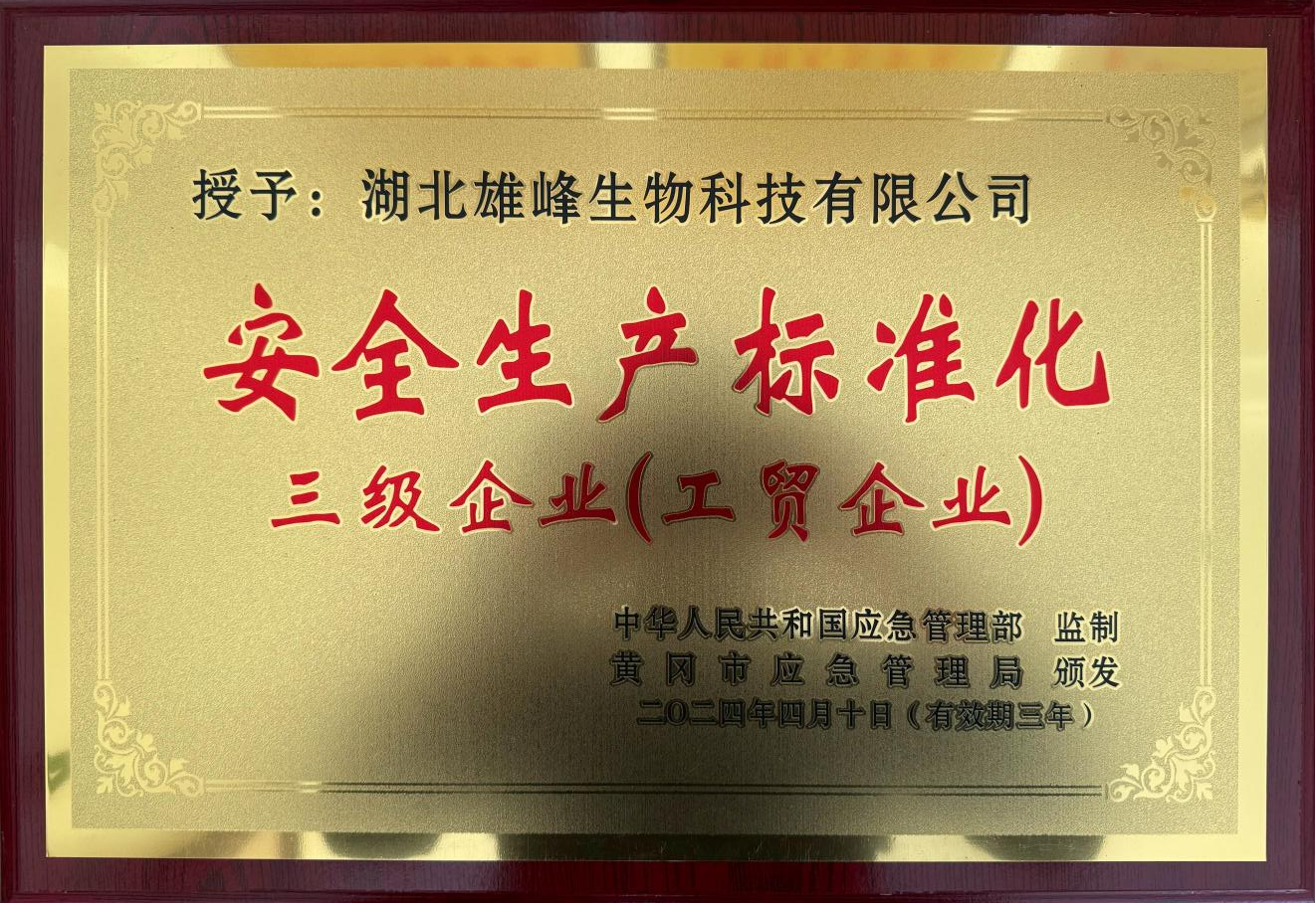 安全生产标准化三级企业