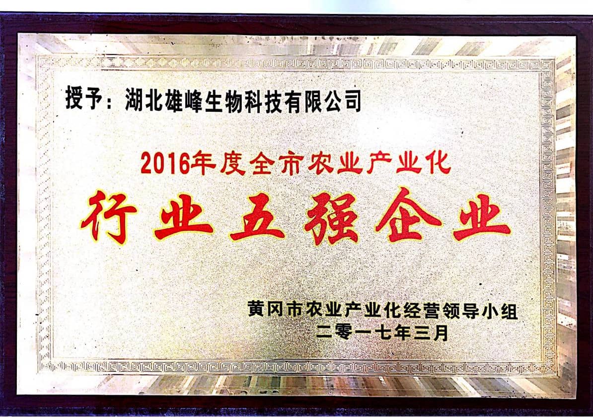 行业五强企业